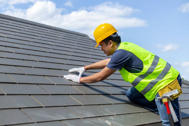 Steel Roofing in Le Sueur, MN